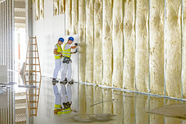 Best Blown-in Insulation in Chadbourn, NC
